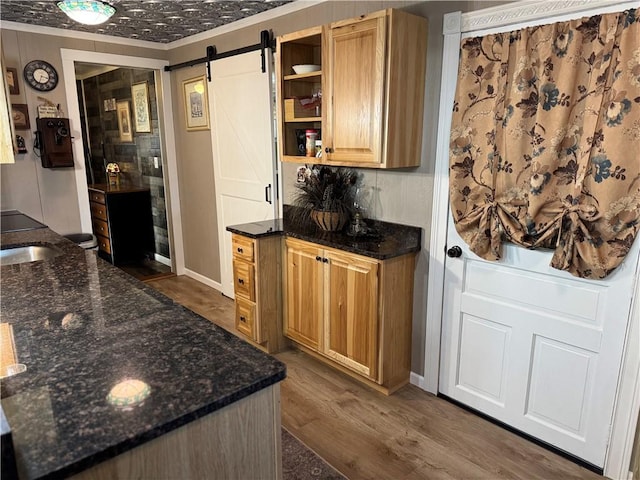 interior space featuring open shelves, a barn door, dark stone countertops, and dark wood finished floors