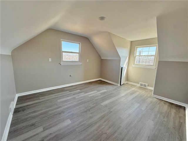 bonus room featuring lofted ceiling, a wealth of natural light, and wood finished floors