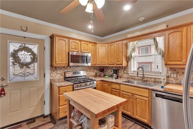 kitchen featuring crown molding, appliances with stainless steel finishes, wooden counters, and a sink