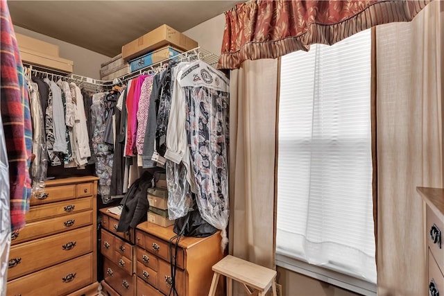 view of walk in closet