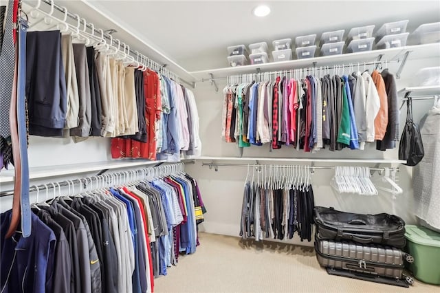 walk in closet featuring radiator and carpet flooring