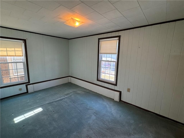 spare room with carpet floors and crown molding