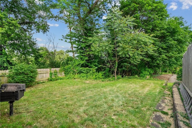 7807 Union Ave, Swissvale, PA 15218 - view of yard