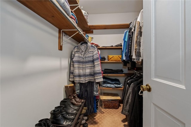 view of walk in closet