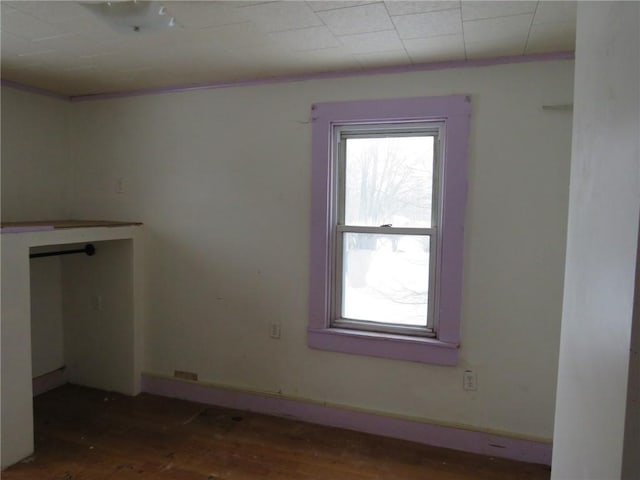 unfurnished room featuring wood finished floors and a wealth of natural light