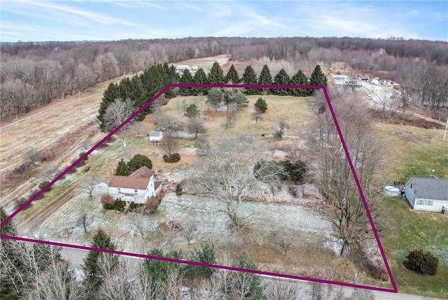 drone / aerial view featuring a rural view and a view of trees