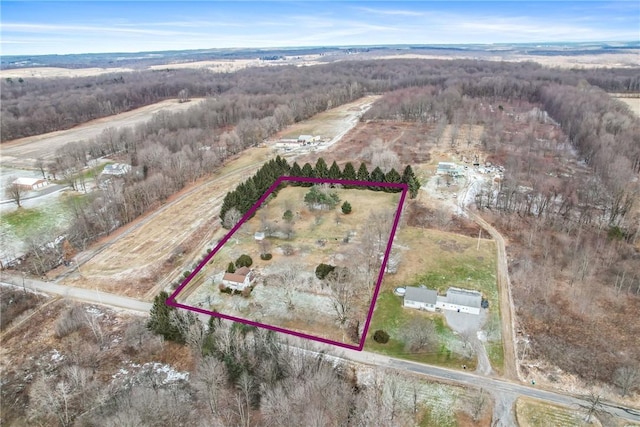 drone / aerial view with a rural view