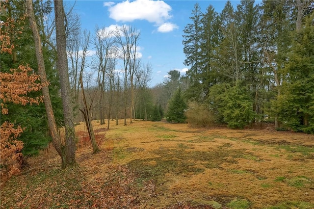 view of yard featuring a forest view