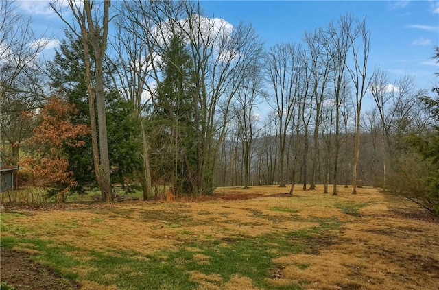 view of yard with a view of trees