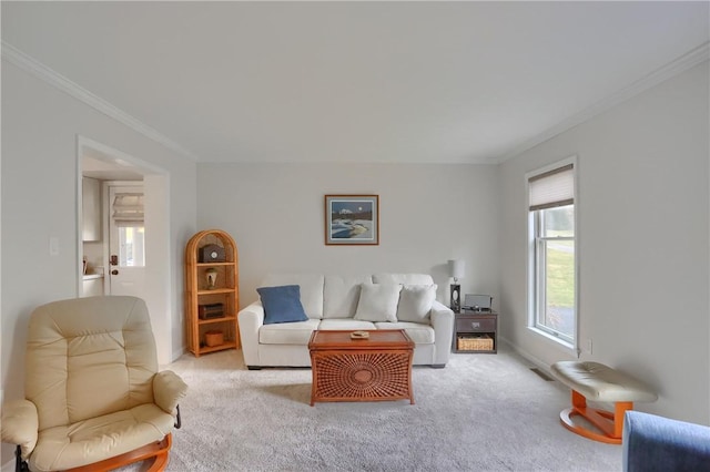 carpeted living room featuring crown molding