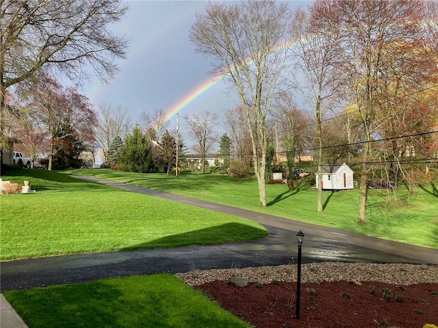 view of community featuring a yard