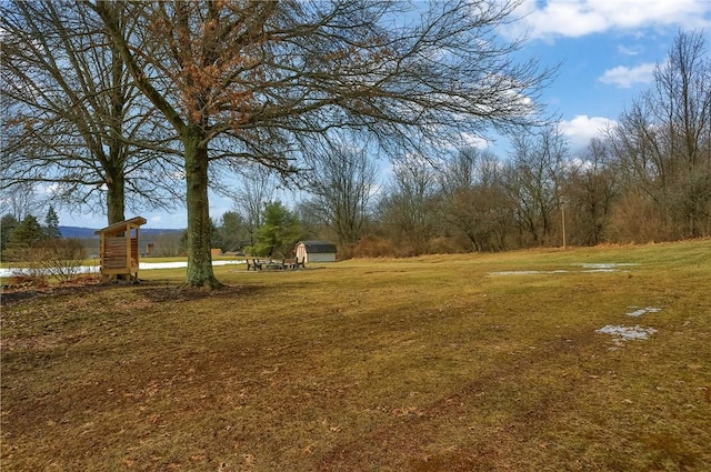 view of yard with a shed and an outdoor structure