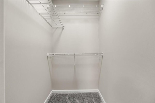 spacious closet featuring carpet flooring