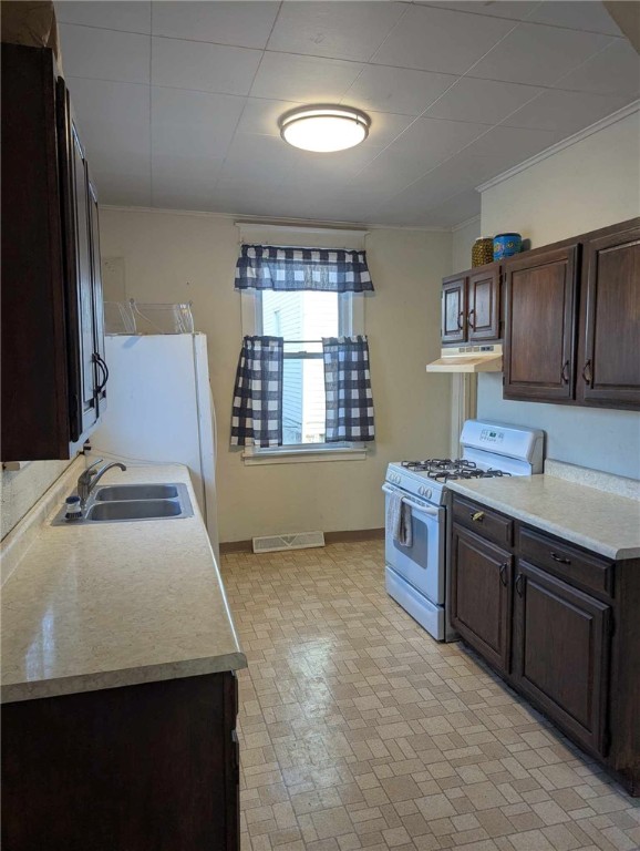 kitchen featuring a sink, white appliances, light countertops, and dark brown cabinets