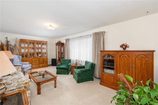 living area with light carpet