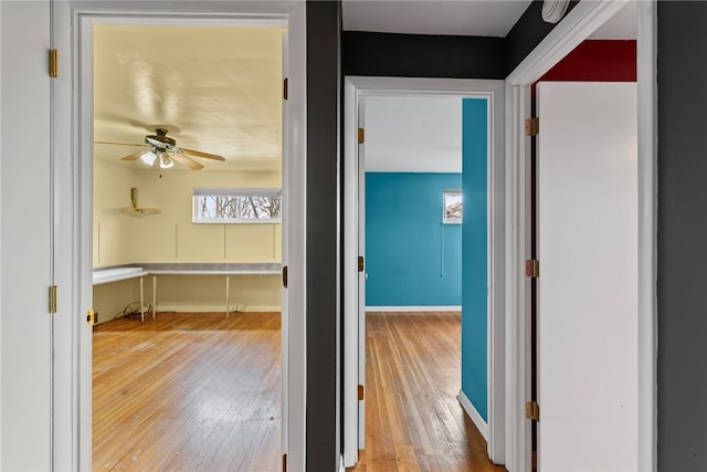 hallway with baseboards and hardwood / wood-style floors