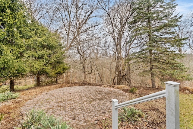 view of yard featuring a patio area and fence