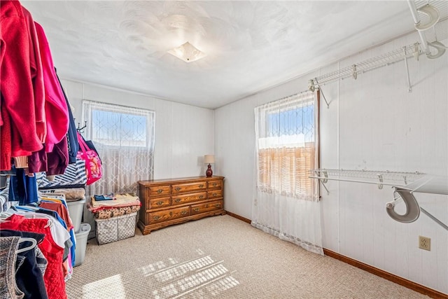 walk in closet with carpet flooring