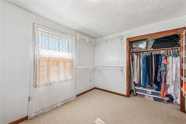 spacious closet with carpet flooring