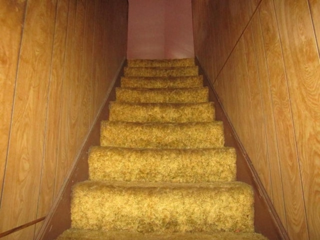 stairs with wood walls