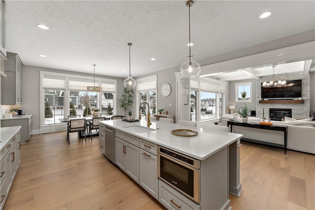 kitchen featuring appliances with stainless steel finishes, light wood-type flooring, a sink, and gray cabinetry