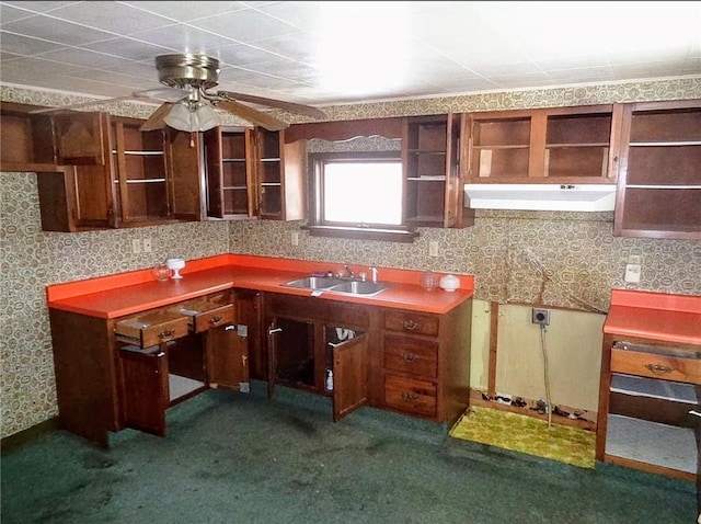 kitchen with under cabinet range hood, carpet flooring, a sink, open shelves, and wallpapered walls