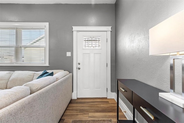 foyer entrance with a textured wall, dark wood-type flooring, and a healthy amount of sunlight