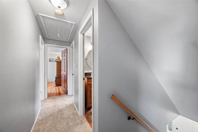 hall featuring carpet and attic access