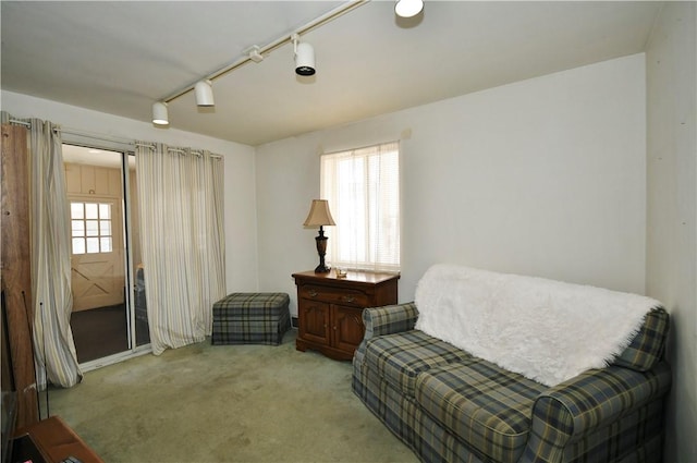 living area with carpet floors, plenty of natural light, and track lighting