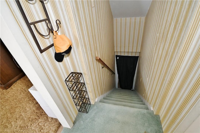 staircase with carpet and wallpapered walls