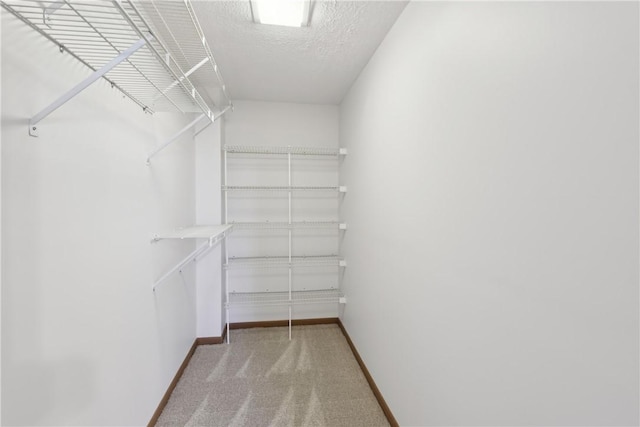 walk in closet with light carpet