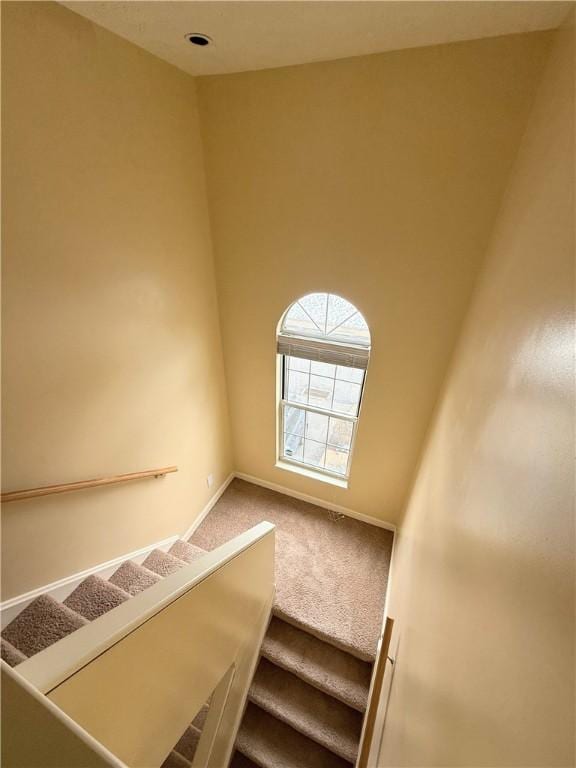 stairway featuring carpet