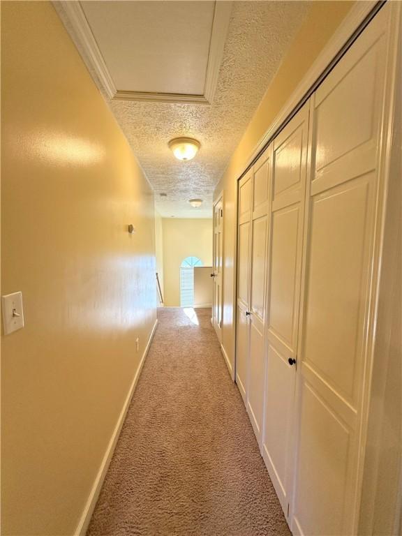 hallway featuring attic access, baseboards, ornamental molding, a textured ceiling, and carpet floors