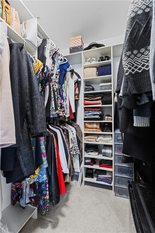 walk in closet featuring carpet flooring