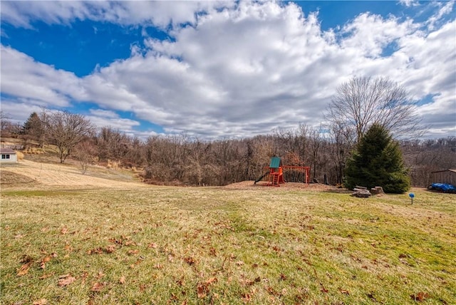 view of yard featuring a playground