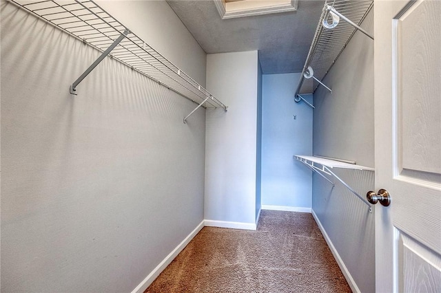 spacious closet featuring carpet