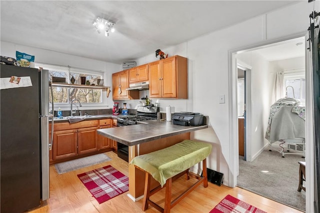 kitchen with under cabinet range hood, stainless steel appliances, a peninsula, a sink, and light wood-type flooring