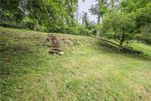 4609 E Willock Rd, Whitehall, PA 15227 - photo 27