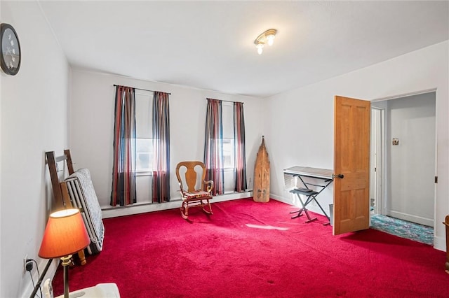 interior space featuring baseboards and carpet flooring