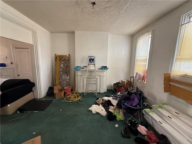 interior space with a textured ceiling and carpet flooring