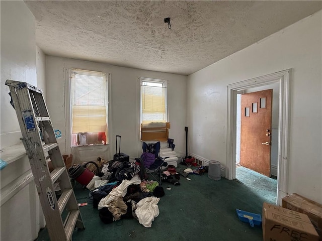 miscellaneous room featuring carpet and a textured ceiling