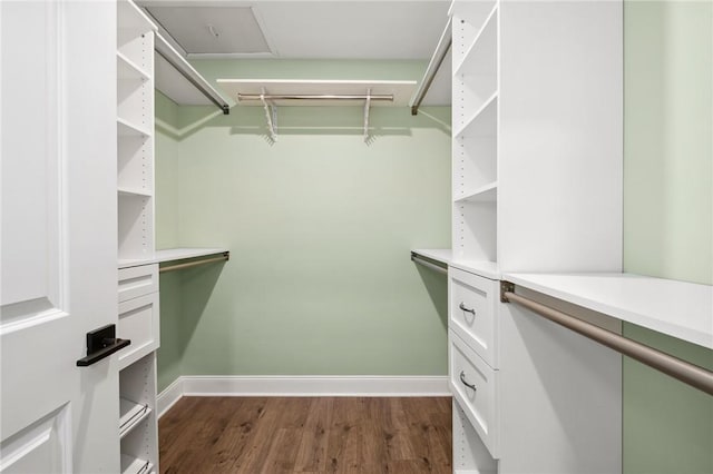 walk in closet with dark wood-style floors