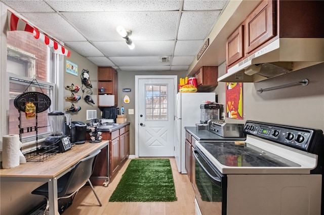 kitchen with a paneled ceiling, electric stove, a toaster, and light wood finished floors