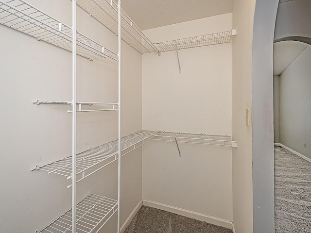 walk in closet featuring carpet flooring