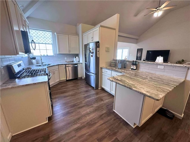 kitchen featuring appliances with stainless steel finishes, lofted ceiling, dark wood finished floors, and a peninsula