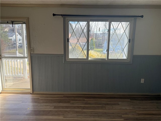 spare room with a wainscoted wall, plenty of natural light, and dark wood-style floors