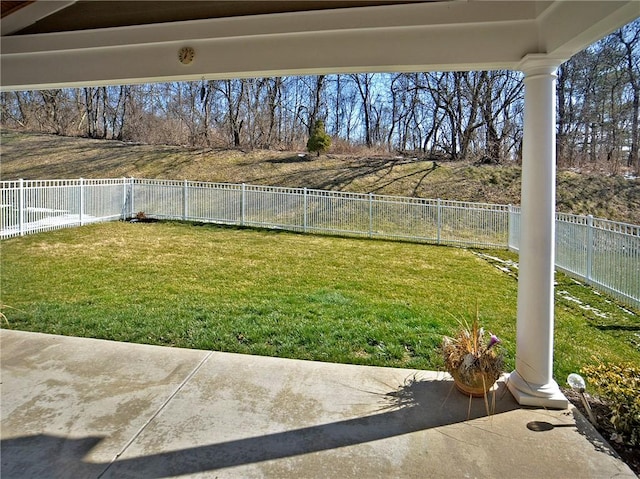 view of yard featuring a patio area and a fenced backyard