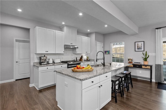 kitchen featuring dark wood-style floors, stainless steel range with gas cooktop, a sink, and under cabinet range hood