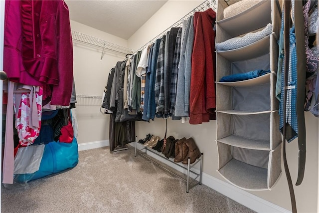 walk in closet with carpet floors