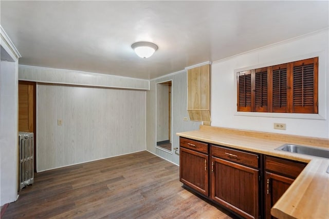 kitchen featuring radiator, a sink, crown molding, and wood finished floors